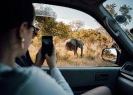 🏁 Addo Elephant Trail Race + Run Garden Route (19th Mar '26)