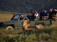 game drive south africa – Addo Elephant Park campervan safari