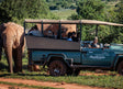 Paardrijden, kust en wijnstreek roadtrip door Zuid-Afrika