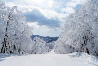 Japan Family Explorer: Honshu Ski & Culture Tour