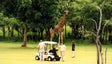 Speel op de ‘Wildste golfbanen ter wereld’ – Kruger National Park