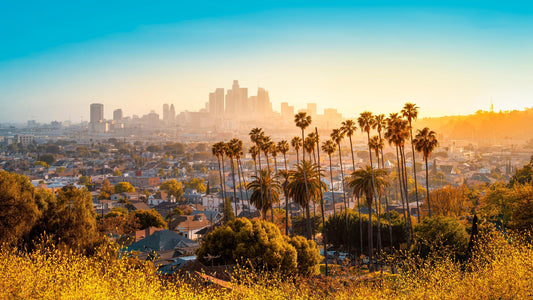 Los Angeles: World Cup 2026 by RV