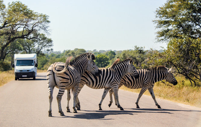 Kruger & Blyde River Canyon Running Loop