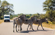 Speel op de ‘Wildste golfbanen ter wereld’ – Kruger National Park