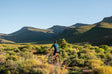 Stay, mountain-bike & kayak at Mount Ceder