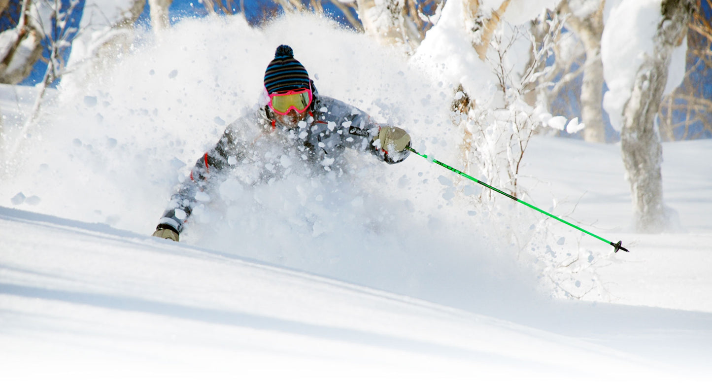 Hokkaido Powder Escape: Campervan Ski Adventure