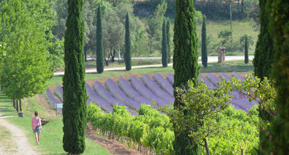 Saint Jeannet (Provence) - Wijn- en verblijfservaring