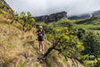 Drakensberg Peaks, Passes & Lesotho Running Loop