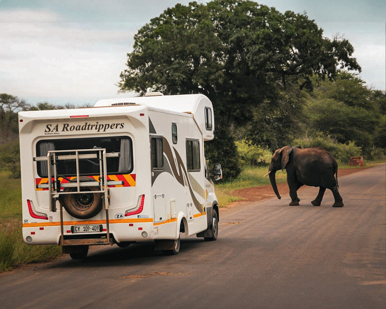 🏁 Addo Elephant Trail Race + Run Garden Route (19th Mar '26)