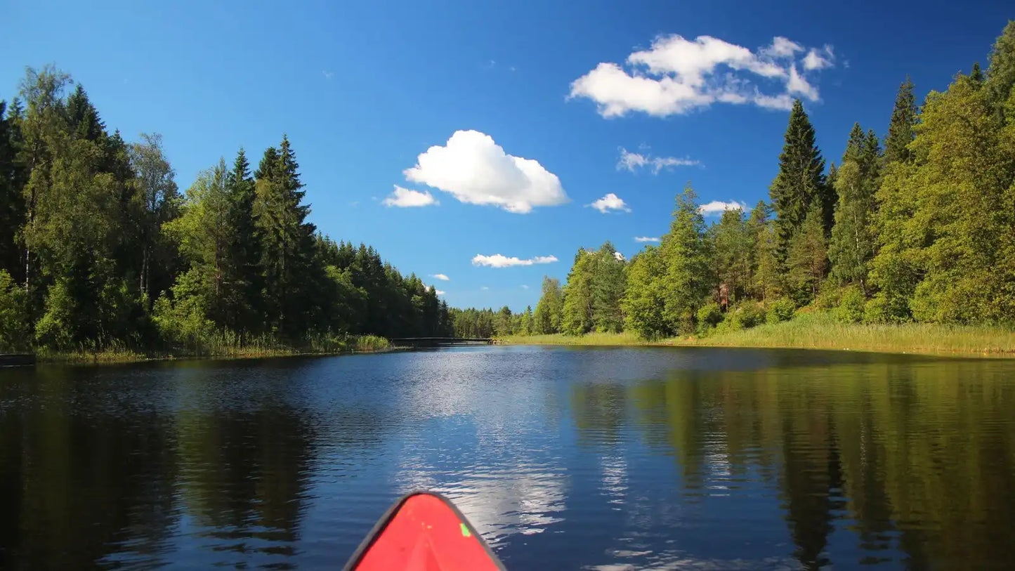 Lakes, Forests & Freedom: Sweden’s Great Family Campervan Escape