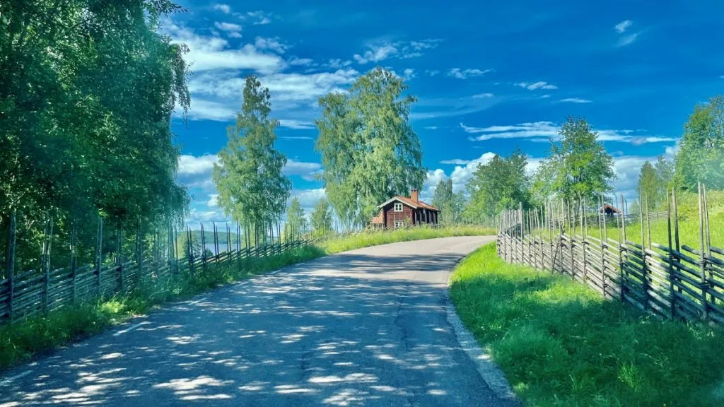 Lakes, Forests & Freedom: Sweden’s Great Family Campervan Escape
