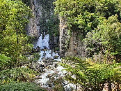 🏁 Tarawera Ultra-Trail + Run Rotorua, Taupō &amp; Bay of Islands (8 februari '26)