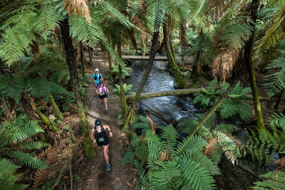🏁 Tarawera Ultra-Trail + Run Rotorua, Taupō &amp; Bay of Islands (8 februari '26)