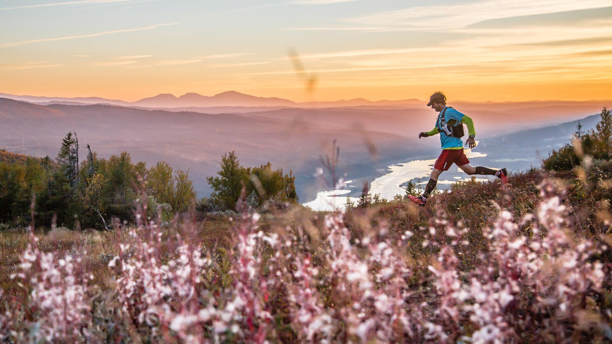 Sweden Forest Running Adventure: 3 Top Strava Routes by Camper