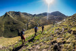 3-Day Lesotho High-Mountain Running Camp