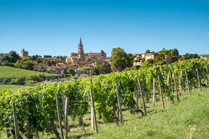 Surf & Nature Campervan Escape in Southwest France