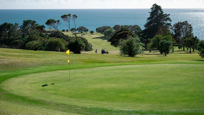 Cape Kidnappers, Vineyards & Hot Springs