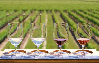 Cape Kidnappers, Vineyards & Hot Springs