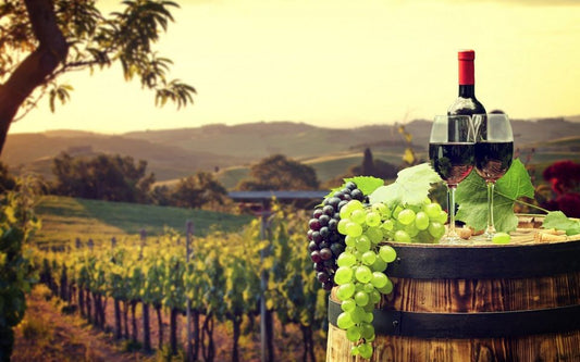 Saint Jeannet (Provence) - Wine & stay experience