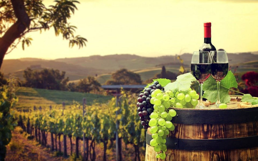 Saint Jeannet (Provence) - Wine & stay experience
